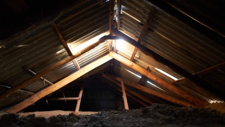 Missing Woman’s Body Found Behind Home’s Secret Attic Entrance