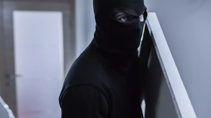 Over 1,000 Historical Artifacts Stolen In California Museum Heist_6903b7dbce1b5.webp