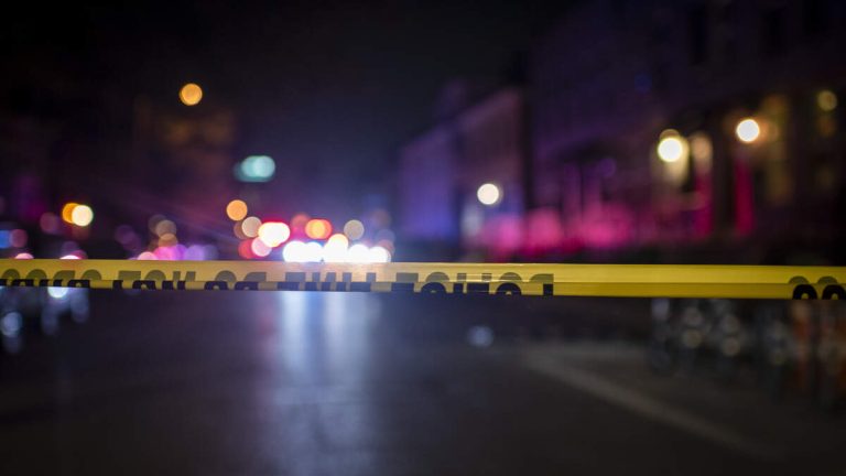 Police Seek Driver in Deadly Santa Monica Crash