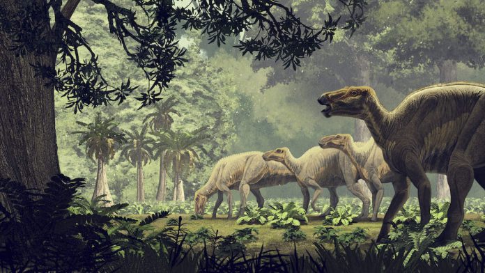 ‘Preserved’ Dinosaur ‘Mummies’ Discovered_6900dcb0d3f35.jpeg