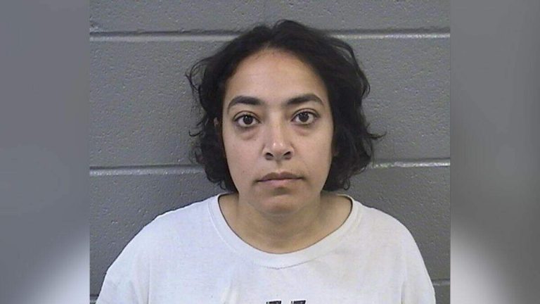 Professor Charged With Violent Felonies For ICE Facility Riots