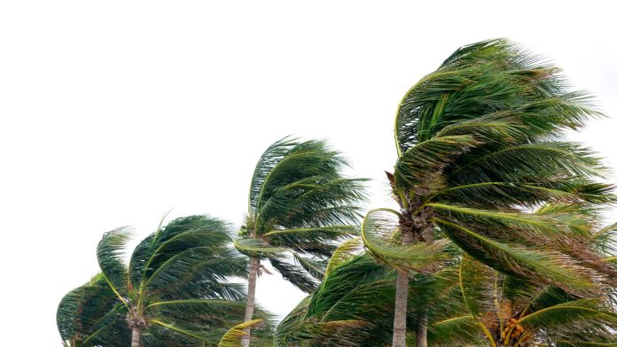 Santa Ana Winds Continue Battering SoCal, Driving Up Temps_69027e2b43d7a.jpeg