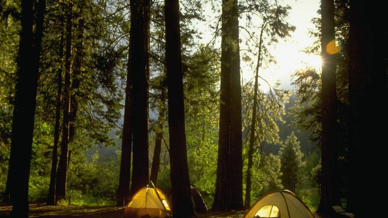 Squatters Taking Over Yosemite Campgrounds As NPS Struggles With Staffing