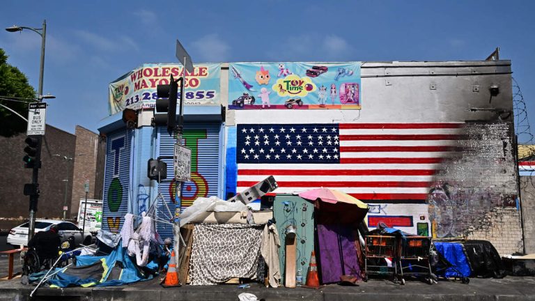 Study Finds LA Homeless Count Undercounts 32% in Key Areas