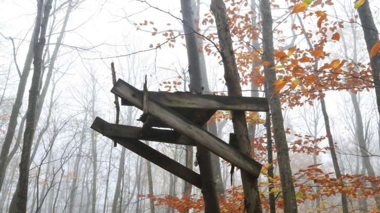 Teen Dies After Getting Struck By Lightning While Sitting In Tree Stand