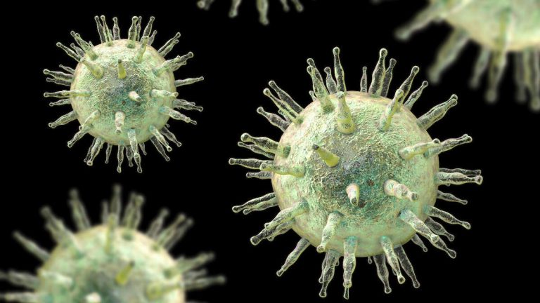 All Lupus Cases Possibly Linked To Common Virus: New Study