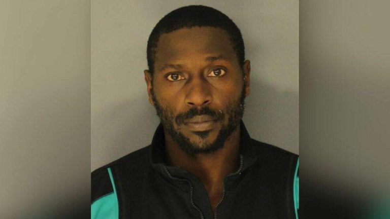 Antonio Brown Makes Plea In Attempted Murder Case