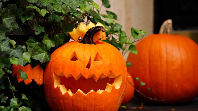 Halloween Pumpkin Waste: Chefs Offer Sustainable Solutions
