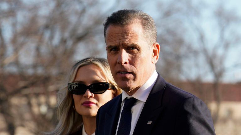 Hunter Biden Urges Democrats To ‘Turn The Temperature Up,’ Bashes CNN Host