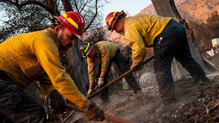 LAFD Concealed Firefighter Concerns Over Lachman Fire
