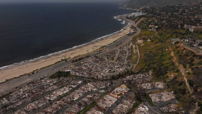 Lawsuit and State Officials Clash Over Palisades Fire Origins