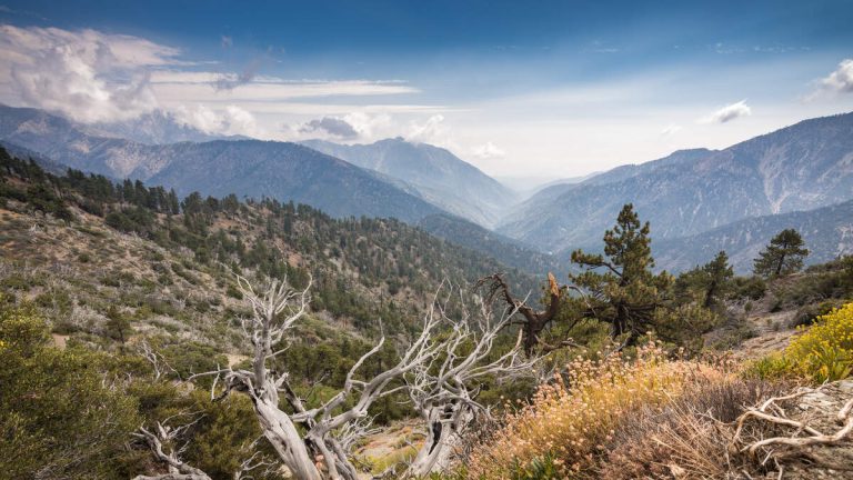 MS-13 Used L.A. Mountains as Killing Grounds, Say Prosecutors