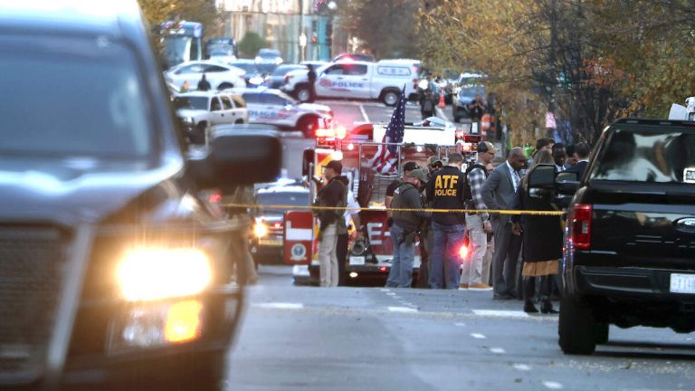 National Guard Victim In DC Shooting Dies