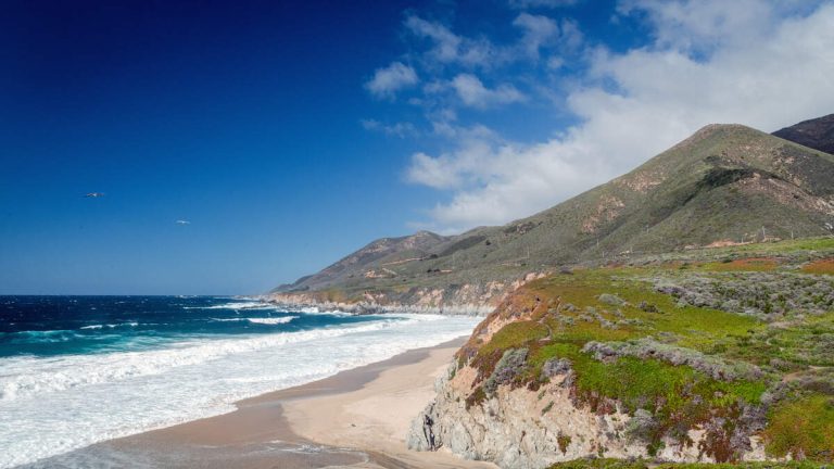 One Dead, Girl, 5, Missing After Family Gets Swept Away By The Ocean