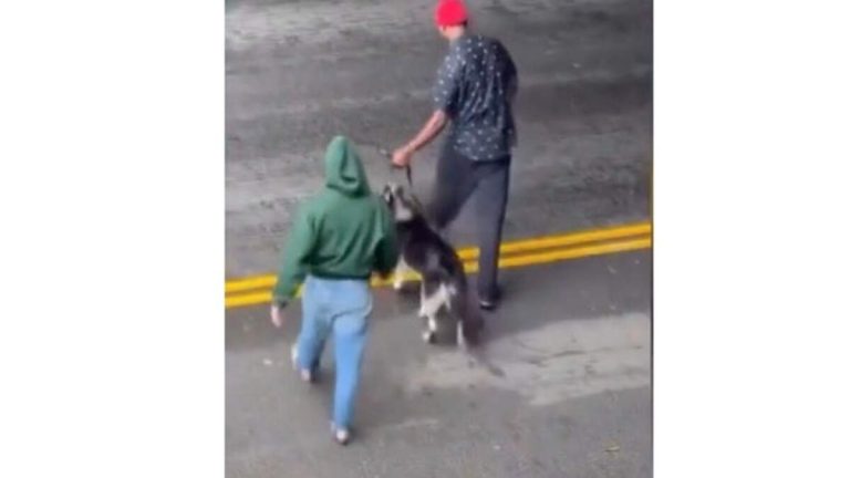 Video Shows Animal Abuse in LA; Police Response Questioned