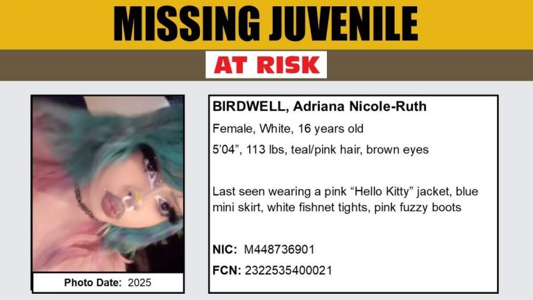 16-Year-Old Girl Missing in East Los Angeles