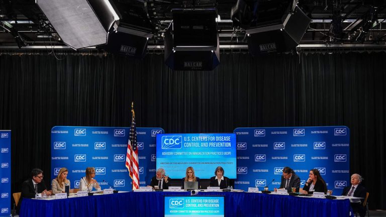 CDC Advisory Panel Postpones Vote On Hepatitis B Vaccine Recommendation
