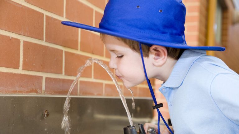 Elementary School’s Water Supply Contaminated By Leaking Garbage Dump