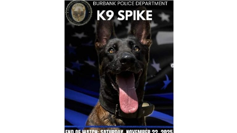Memorial Set for Burbank PD K9 Spike; Will Also Be Honored at Rose Parade