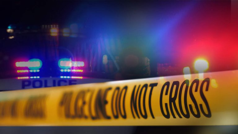 On-Duty Customs Officer Fires Gun In Road Rage Incident Near JFK Airport