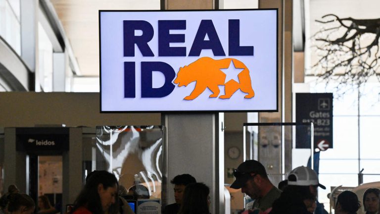 California DMV to Reissue 325,000 REAL IDs Due to Error