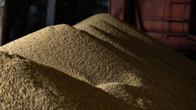 Man Killed After Getting Buried In Soybeans In Grain Bin Accident
