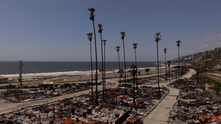 Palisades Fire Report Edited Before Release, Fire Chief Admits