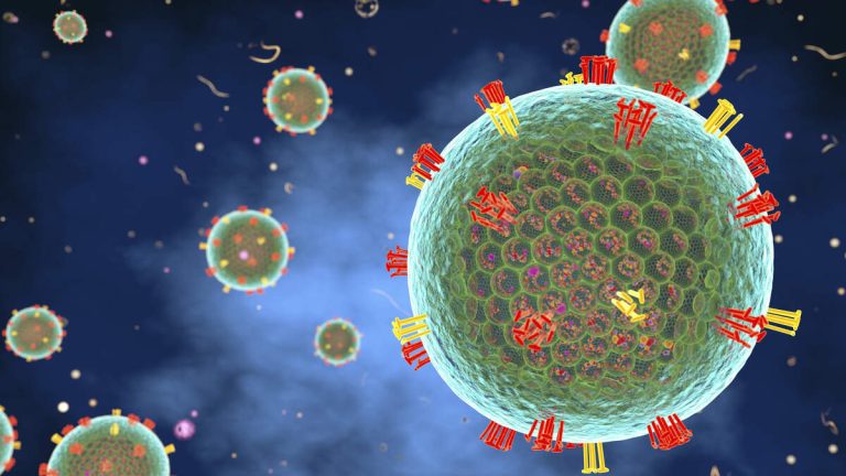 South Carolina Measles Outbreak Tops Outbreak In Texas With 789 Cases