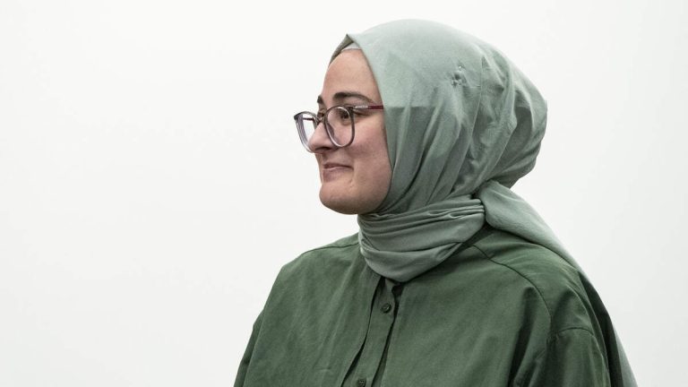 Court Rules Government Can’t Deport Tufts Student Who Criticized Israel