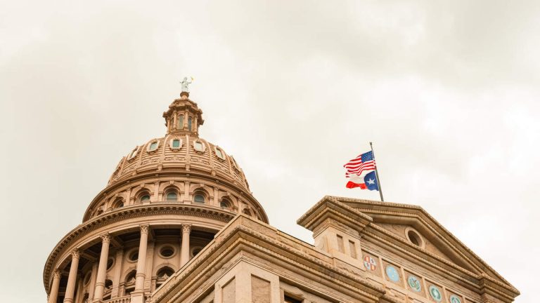 Democrat Flips Texas State Senate District That Trump Won By 17 Points