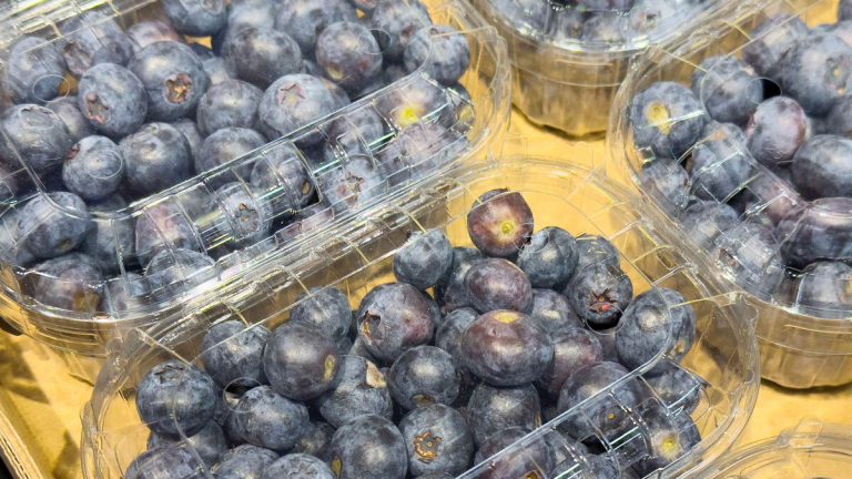 FDA Warns Recalled Blueberries Pose ‘Reasonable Probability Of Death’