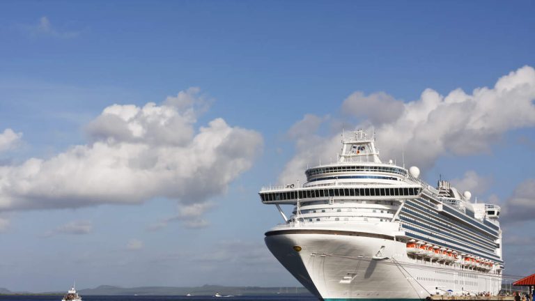 Harbor Pilot Falls Into Water Forcing Cruise Ship To Change Port