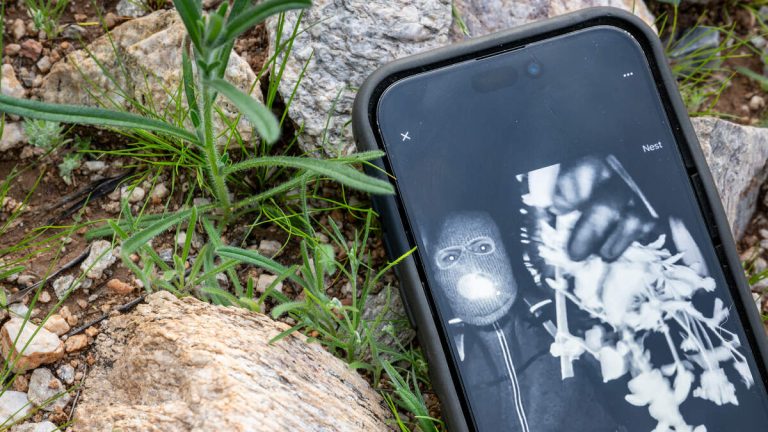 Officials Release Description Of Suspect In Nancy Guthrie Disappearance