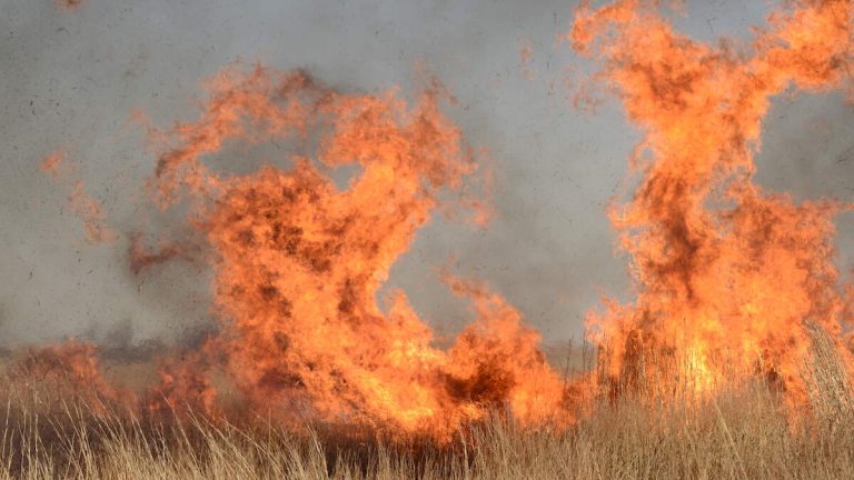 Oklahoma Wildfires Expand To More Than 155,000 Acres