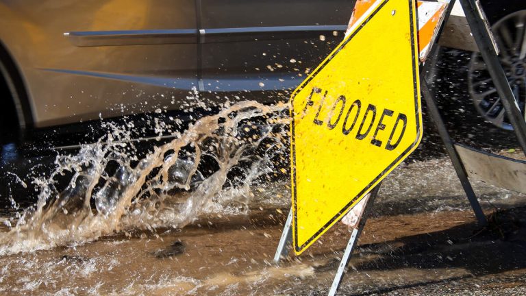 Overnight Wind, Rain Cause Some Havoc; More Rain on Tap Thursday