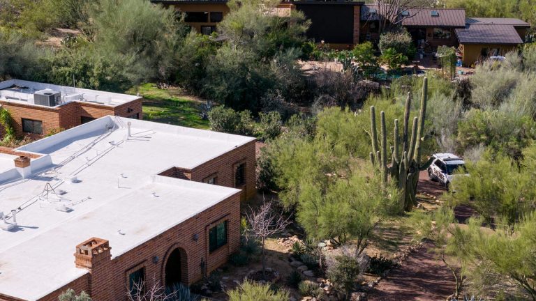 Results Of DNA Test On Glove Found Near Nancy Guthrie’s Home Revealed