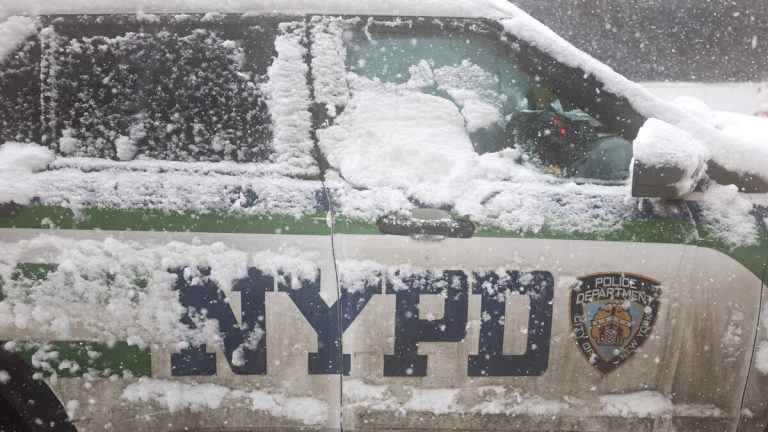 Several NYPD Officers Hospitalized After Getting Attacked With Snowballs