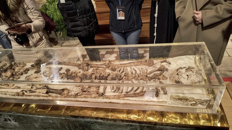 Skeleton Of St. Francis Of Assisi Is Now On Public Display For First Time