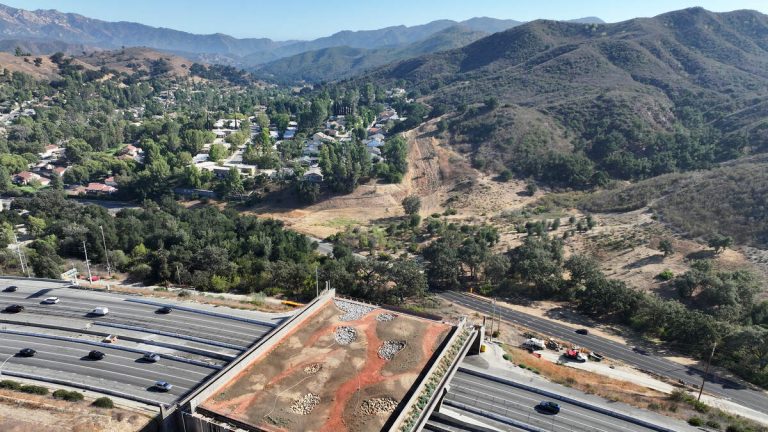Agoura Road to Close Again for Wildlife Crossing Work