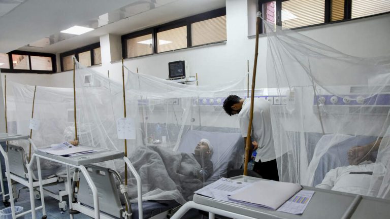 CDC Issues Global Travel Notice Over Mosquito-Borne Brain-Bleeding Virus