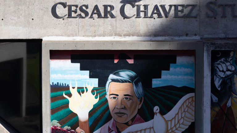Chávez Allegations Raise Questions About Facilities, Holiday Named for Him