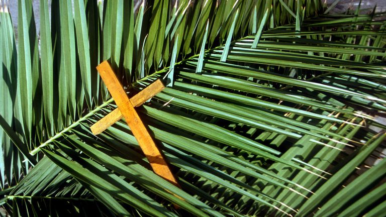 Holy Week Begins With Palm Sunday