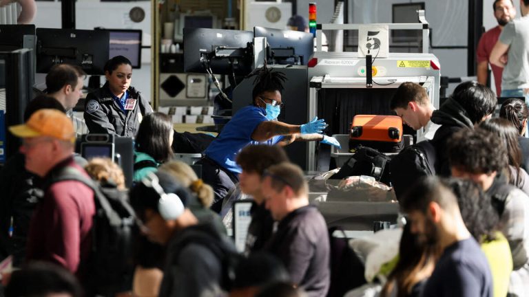 ICE Set to Help with Security at Select US Airports, but Not Yet in CA