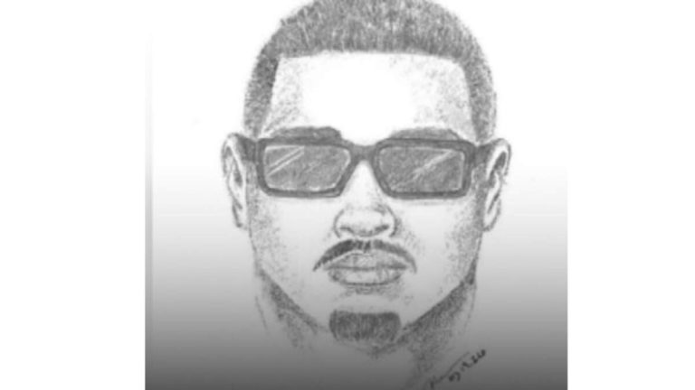 LAPD Releases Sketch of North Hills Kidnapping Suspect