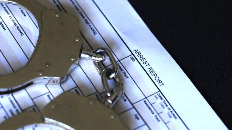 Serial Arsonist Linked to Five Los Angeles Fires Arrested