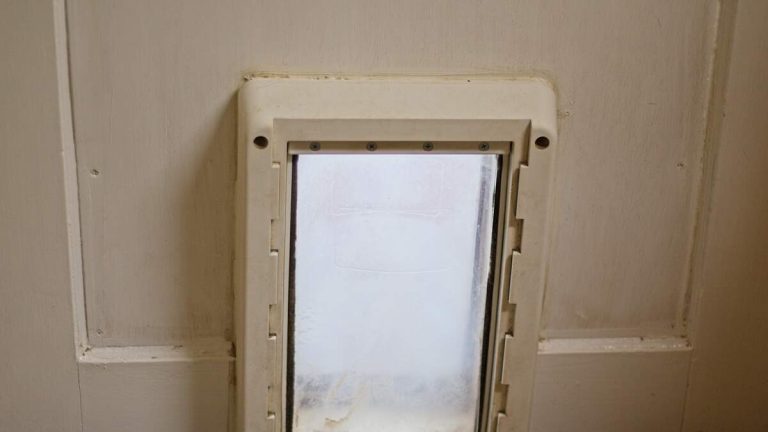 ‘Spiderman From Hell’ Burglar Sneaks Into Homes Through Doggy Doors