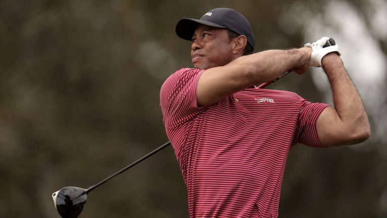 Tiger Woods’ Mugshot Released