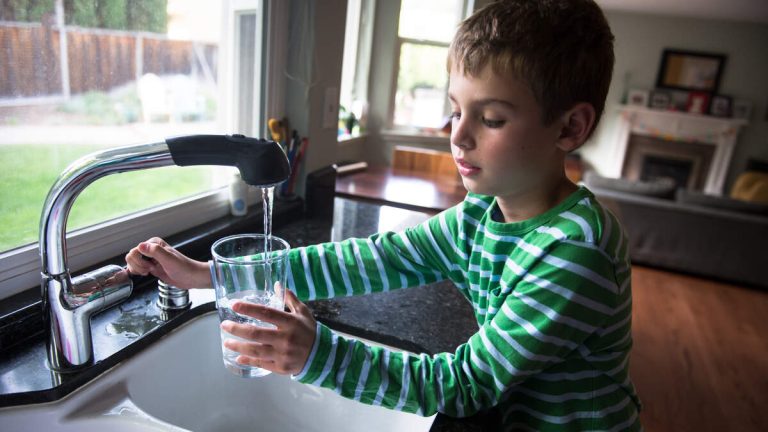 Fluoride In Drinking Water Does Not Affect IQ Or Brain Function
