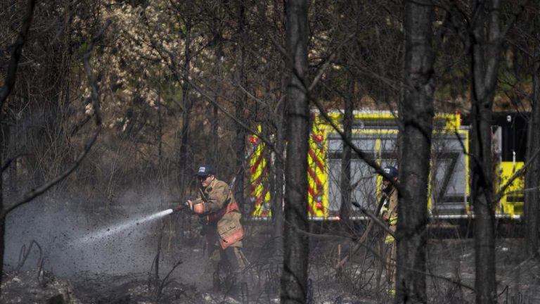 Georgia Wildfire Doubles In Size As 10 New Fires Start