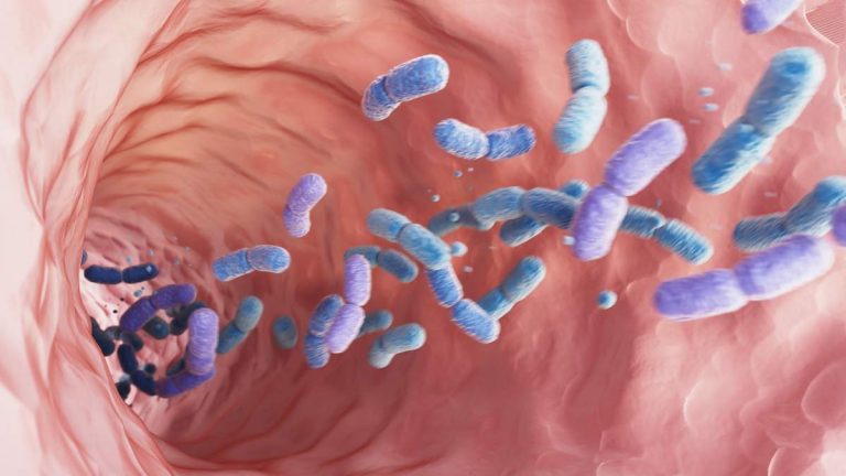 Gut Bacteria May Provide An Early Warning For Parkinson’s Disease